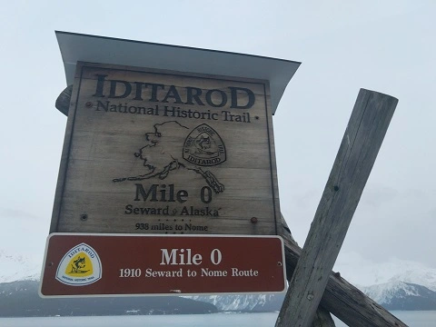 Iditarod Trail Tripod